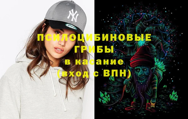 стафф Бородино