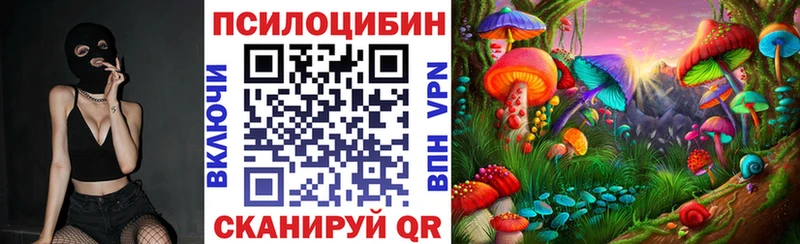 где можно купить наркотик  Ижевск  Галлюциногенные грибы Psilocybine cubensis 